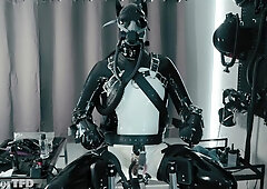 Rubber Pup Bound [pp Training]
