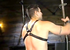 Mucky edged stud gets flogged by maledom