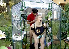 Mrs Pawg Prone Boned - Mrs Bbw - Mrs bbw