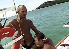 Gay masturbation, fellatio, hard-core