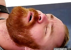 Ginger bear bottoms leather daddy