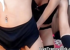 Shemale teases her blonde tranny girlfriend and fucks her hard