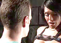 Bigtits, brown-haired