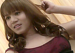 Titilicious Thailand ladyboy dolls