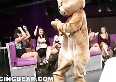 Now u know when the beauties desire to watch some penis swinging action they always book the Dancing Bears. Our bookings have discharged throughout th