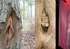 PENIS PARK