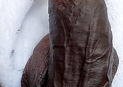 Beautiful black dick