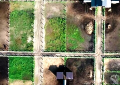 Men: From City Job Loss to Ranch Romance