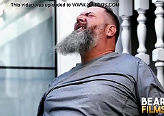 Plump Homosexual Blows Chubby Hairy Men Rigid Penis