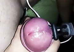 Estim precum big glans closeup cockring wakn dancing