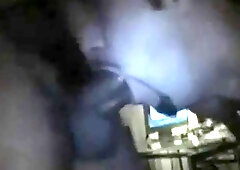 French Arabian Big Meat 4