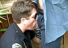 Gay public, gay cock sucking, american