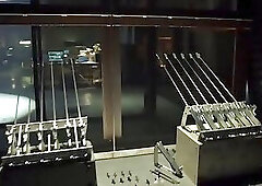 Muscle Stud　Workout Fight