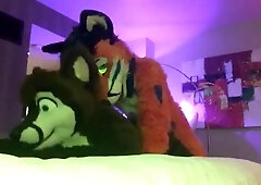 Fursuit Hook-Up, MasterkennyG and Felix