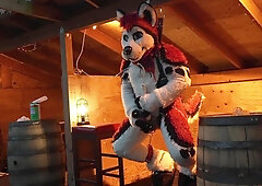 Husky Fursuiter Suspension Jerkoff