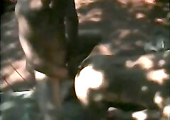 Horny Trio Outdoor Screwing