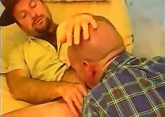 Naughty Bears Enjoy Blowjob