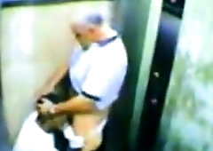 Daddy Bear and his Young Cub Caught on Camera