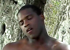 Black Meat White Heat