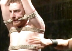 Butt plugs, shove, cascade