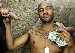 Numero 91 - LatinLeche