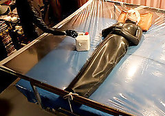 tied in rubber bag