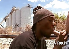 Interracial fun of gays