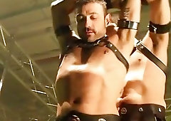 Hot gay porn stars put on a live performance at the club