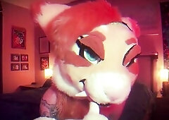 Cute Fur Cutie tries BBC anal for the 1st time