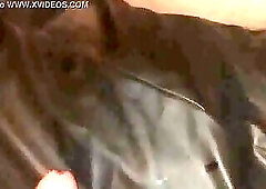 Friday sex with my friend I just met on the first date