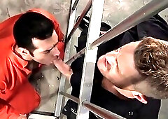 Hairy gay oral sex with cumshot