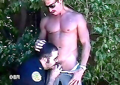 Wild cops 4