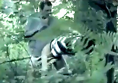 gaymainstream- shank