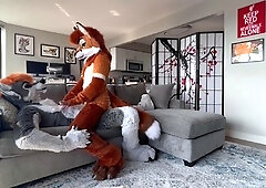 Amateur Couple Doggystyle