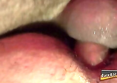 Bear barebacks guys ass