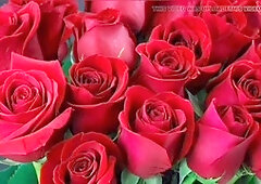 Hd videos, gay porn, bangladeshi