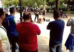 Sucking A Strange's Big Black Dick In The Barber Shop