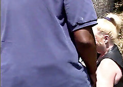 Two grannies Have a promiscuous Picnic hookup