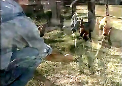 Cute Twosome Sucking & Banging